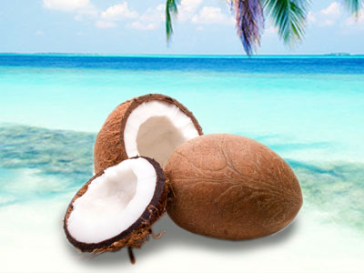 coconut-meat
